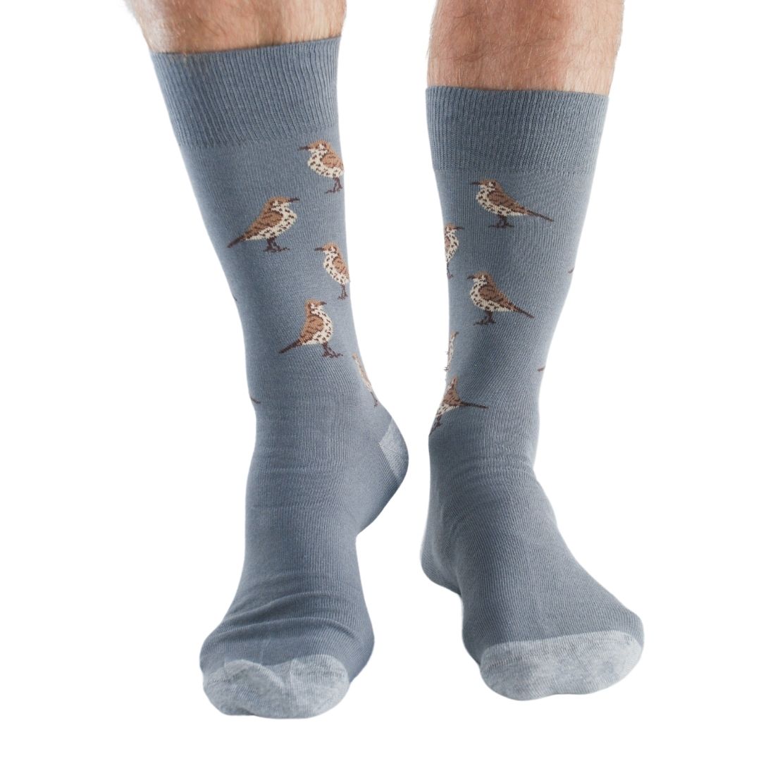 Lot de 4 paires de chaussettes en bambou Garden Birds