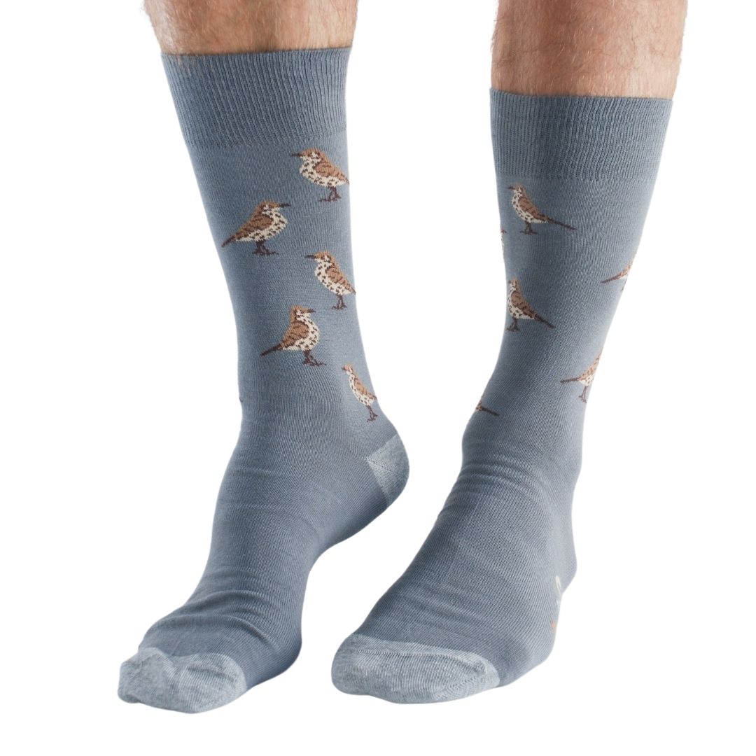 Lot de 4 paires de chaussettes en bambou Garden Birds