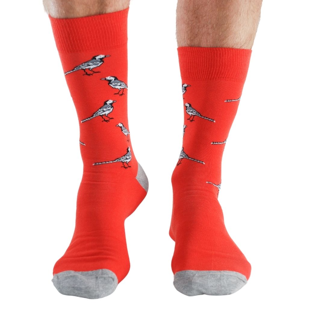 Lot de 4 paires de chaussettes en bambou Garden Birds