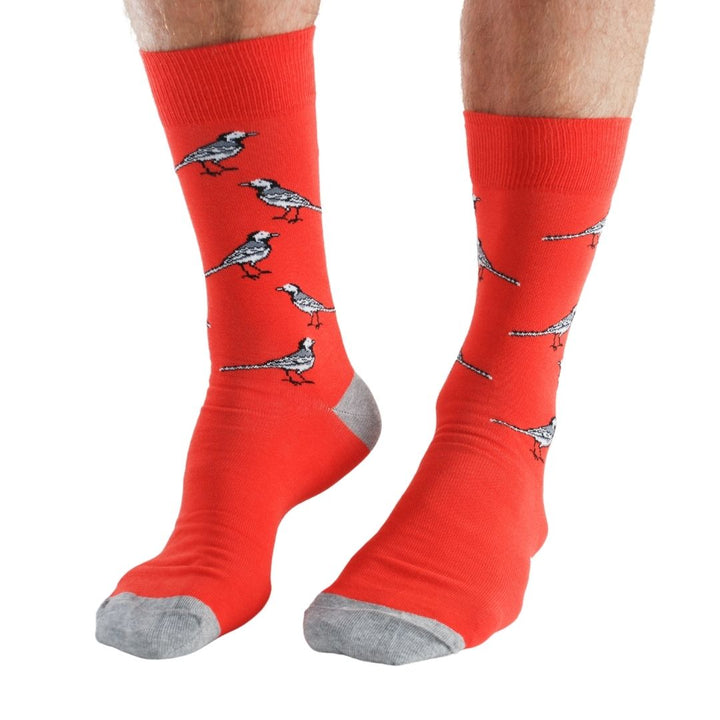 Lot de 4 paires de chaussettes en bambou Garden Birds