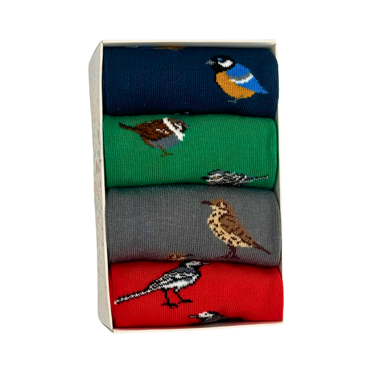 Lot de 4 paires de chaussettes en bambou Garden Birds