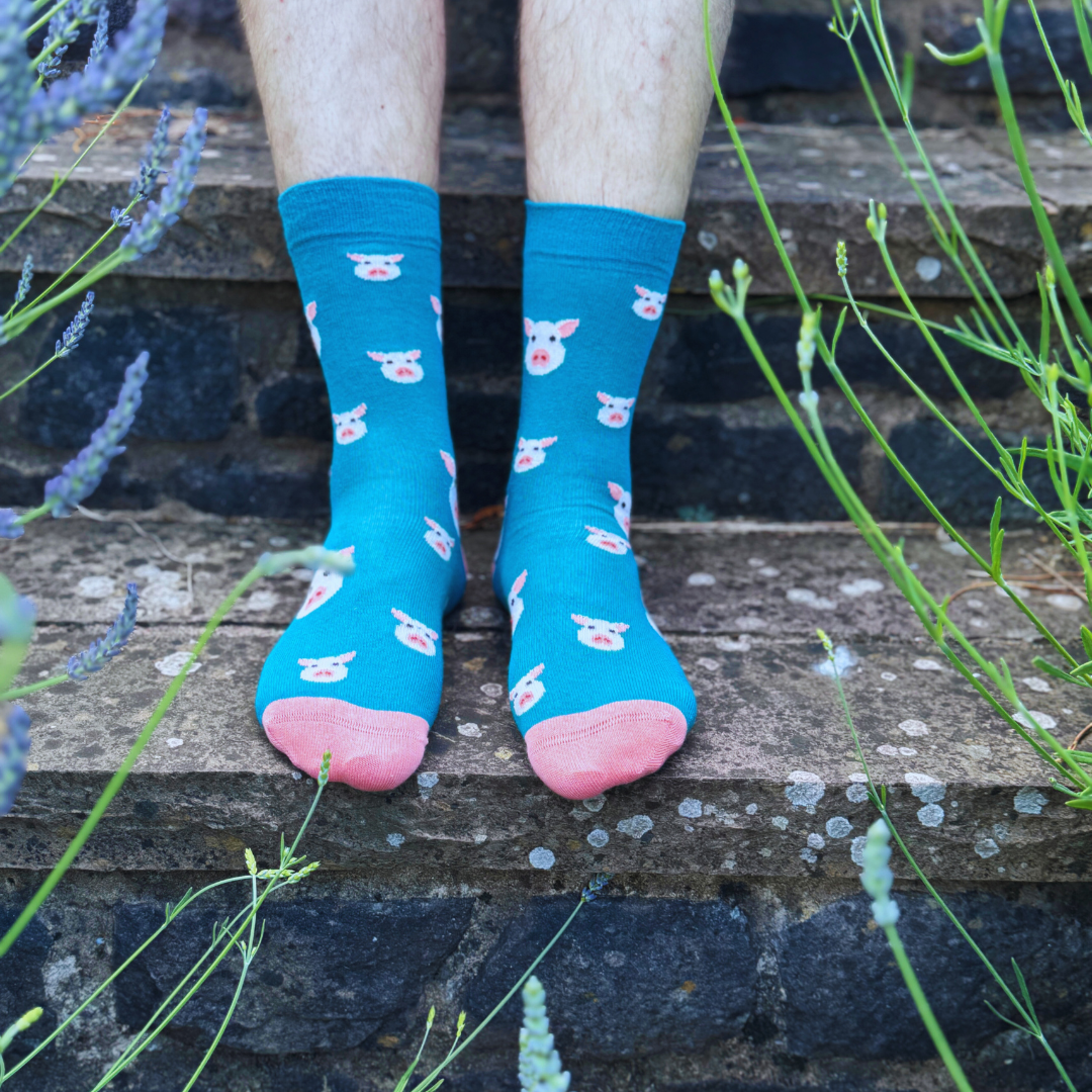 Chaussettes en bambou avec des cochons