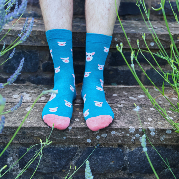 Chaussettes en bambou avec des cochons