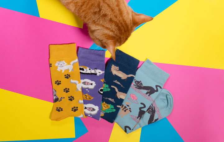 Chaussettes en bambou pour chat